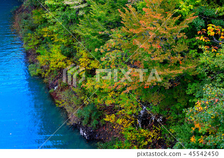 湖Hosen秋田 45542450