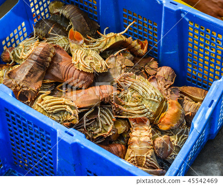 Fresh slipper lobster at market Fresh slipper lobster at market 45542469