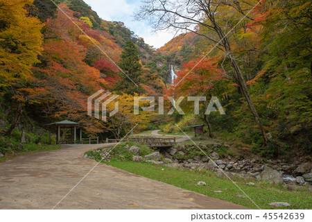 Kanba瀑布~Kanba瀑布秋天場面〜 45542639