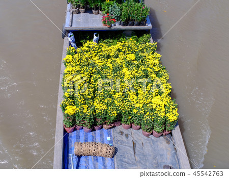 Cargo boat carrying flowers in Vietnam 45542763