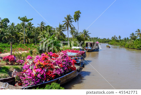 Cargo boat carrying flowers in Vietnam Cargo boat carrying flowers in Vietnam 45542771