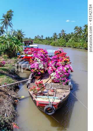 Cargo boat carrying flowers in Vietnam 45542784