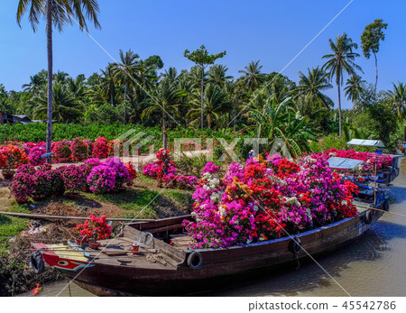 Cargo boat carrying flowers in Vietnam 45542786