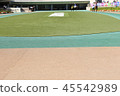 Racetrack paddock 45542989