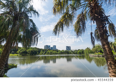 Public park in the big city. Place and outdoors Public park in the big city. Place and outdoors 45544359