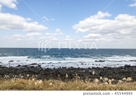 濟州島海 45544995