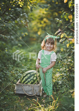 A little girl carries a huge watermelon on a  45545894