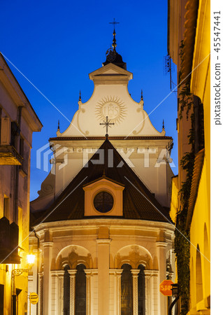 Zamosc Cathedral 45547441