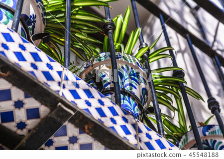 Ceramic pot with pattern with plant on balcony Ceramic pot with pattern with plant on balcony 45548188