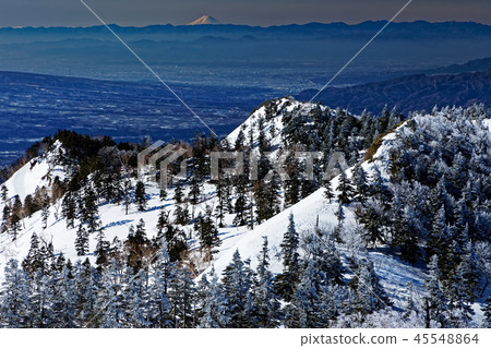 Joshu Budosan Tree Ice and Mt Fuji 45548864