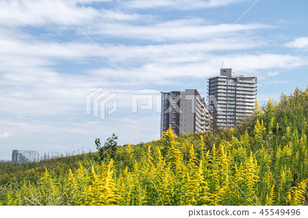 Solidada Awadachiso and an apartment Solidada Awadachiso and an apartment 45549496