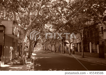 China / Shanghai Former French Concession Area Farguo Zugier Legal World Cityscape Sepia China / Shanghai Former French Concession Area Farguo Zugier Legal World Cityscape Sepia 45549586