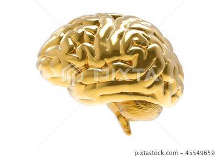3D Gold human brain illustration on white BG 45549659