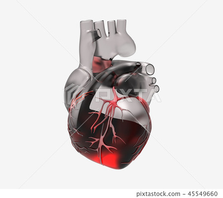 3D transparent human heart with blood and vein 45549660