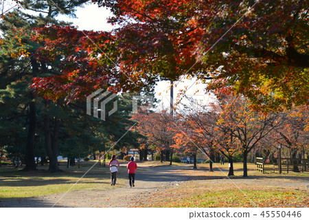 Maebashishiki島公園在秋天 Maebashishiki島公園在秋天 45550446