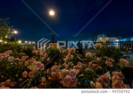 軍事港口和玫瑰01在晚上 45550742