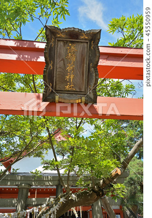 在新潟市散步:Kashiwa Inari Shrine 在新潟市散步:Kashiwa Inari Shrine 45550959