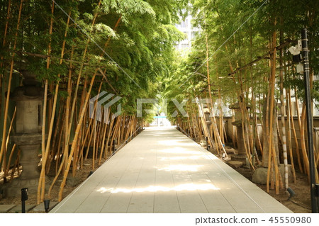 Chang Aoyama Umedan-in Chang Aoyama Umedan-in 45550980