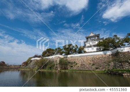 Kishiwada castle 45551360