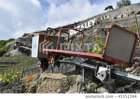 Vineyard Machinery in Lavaux (Field of Grape in Lavaux) 45551394