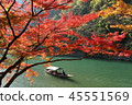 Arashiyama autumn leaves 45551569