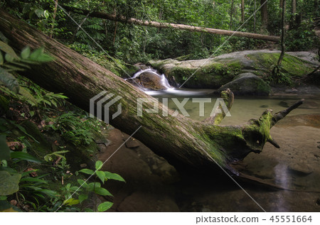 Beautiful tropical waterfall in lush green forest. 45551664