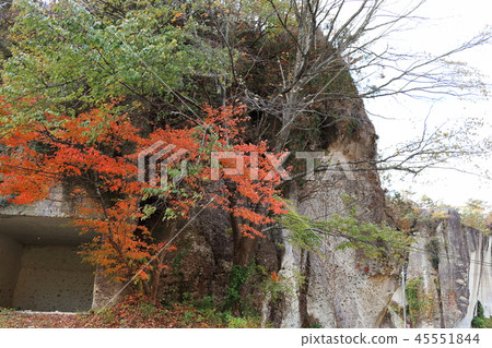 Autumn leaves of trees growing on the Otani stone mining site 45551844