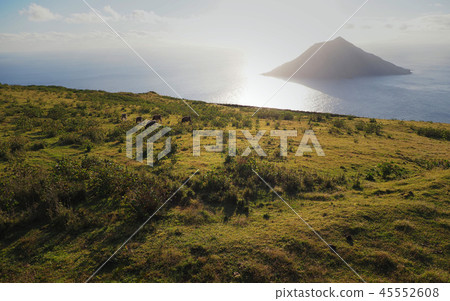 Hachijojima島與海和日落和牧場的絕佳景色 45552608