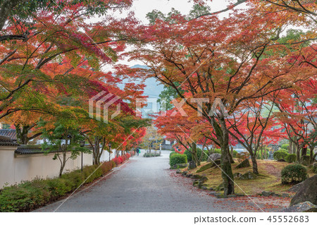 Iwakuni Momijidani Park in the fall Iwakuni Momijidani Park in the fall 45552683