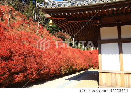 Shikuyama Kanonji Shikuyama Kanonji 45553534