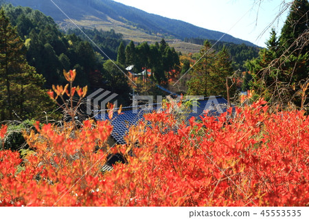 Shikuyama Kanonji Shikuyama Kanonji 45553535