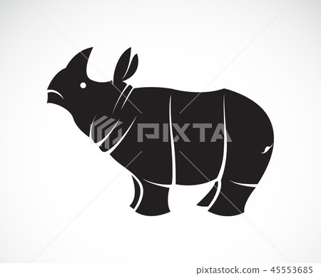 Vector of rhinoceros. Wild Animals. 45553685