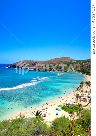 夏威夷哈瑙瑪灣 45554117