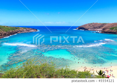 夏威夷哈瑙瑪灣 45554121