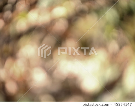 Amazing movement background of autumn foliage 45554147