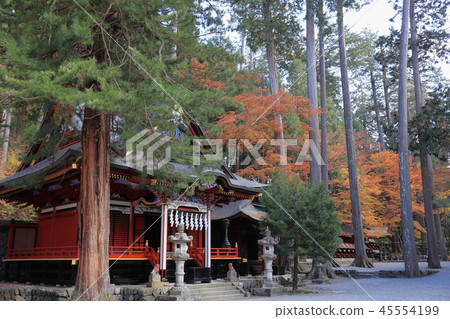 Japan Chichibu Autumn leaves 45554199