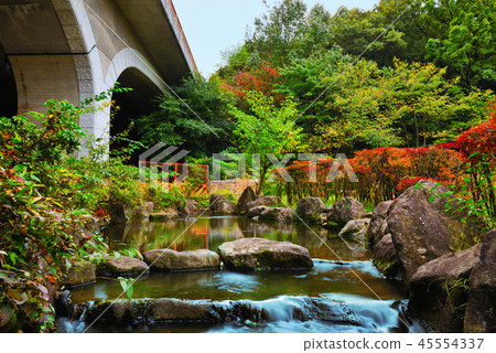 21st Century Forest and Plaza Overpass and Ogawa 21st Century Forest and Plaza Overpass and Ogawa 45554337