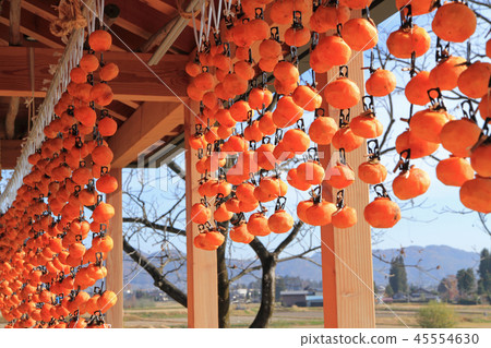 Dried persimmon 45554630