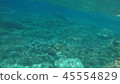 Good visibility 45554829