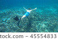 Summer vacation even for adults 45554833