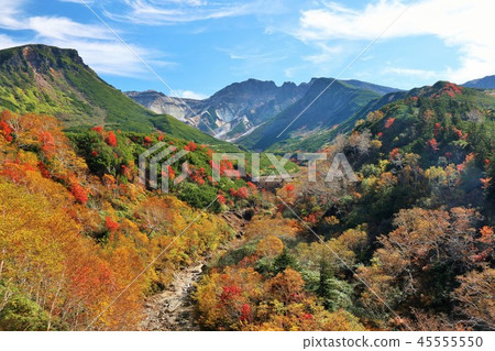 北海道秋天清澈的藍天和十勝岳 照片素材 圖片 圖庫