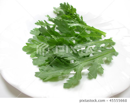 幹菊花 幹菊花 45555668