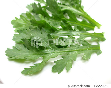 幹菊花 幹菊花 45555669