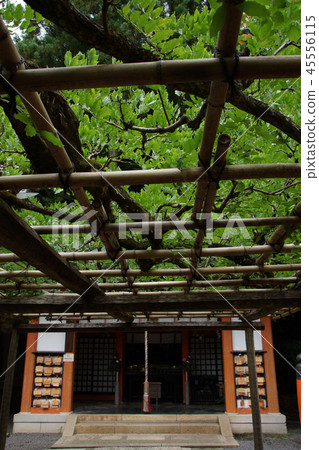 Kuramaji Sakurai Gohosen Shrine 45556115