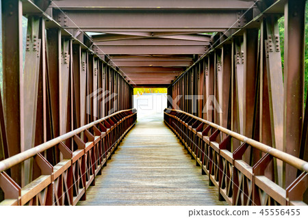 Wooden walk path  45556455