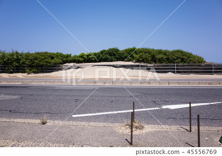 鳥取沙丘附近的路 鳥取沙丘附近的路 45556769