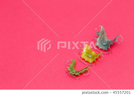 Colorful dental braces or retainers for teeth Colorful dental braces or retainers for teeth 45557201