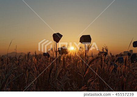在天空公園的日出視圖 在天空公園的日出視圖 45557239