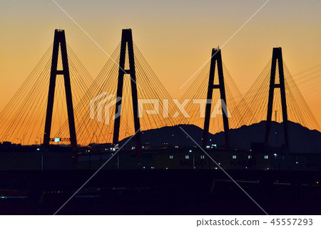 <Plant night view> Sunset Shiomi Pier Nagoya Port Triton 45557293