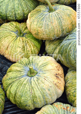 thai pumpkin 45557800